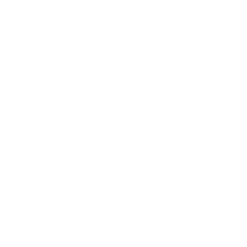 WLN Style